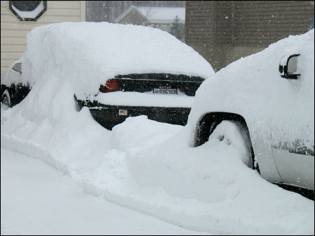 The Great Snow Storm of 2008